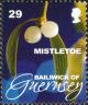 Colnect-4163-107-Mistletoe.jpg