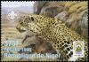 Colnect-4960-089-Leopard.jpg