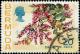 Colnect-3451-081-Coralita.jpg