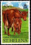 Colnect-4216-770-Cow-and-calf.jpg