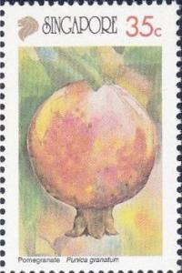 Colnect-2344-720-Pomegranate.jpg