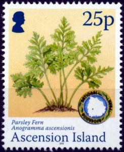 Colnect-3418-740-Parsley-fern.jpg