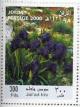 Colnect-1920-177-Iris.jpg