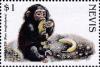 Colnect-3544-812-Chimpanzee.jpg