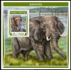 Colnect-6121-615-Elephants.jpg