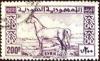 Colnect-1481-417-Arab-Horse.jpg