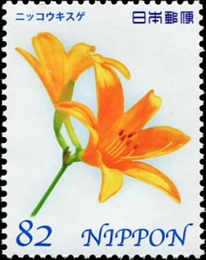 Colnect-5524-188-Daylily.jpg