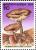 Colnect-2678-318-Mushrooms.jpg