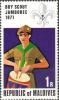 Colnect-2656-418-Boy-Scout.jpg