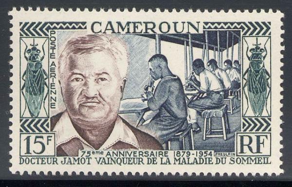 Skap-cameroon_01_tsetse_c33_.jpg