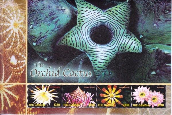 Colnect-4686-111-Orchid-cacti.jpg