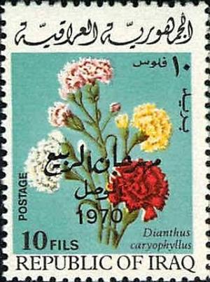 Colnect-1536-120-Carnations.jpg