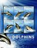 Colnect-5727-201-Dolphins.jpg