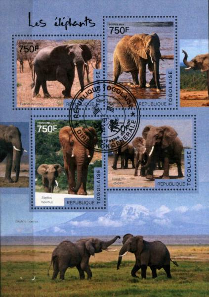 Colnect-4441-722-Elephants.jpg