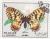 Colnect-1643-922-Butterfly.jpg