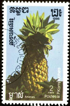 Colnect-1854-624-Pineapple.jpg