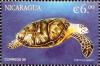 Colnect-6341-227-Sea-turtle.jpg
