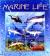 Colnect-4008-292-Marine-Life.jpg