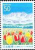 Colnect-2445-602-Tulip-fields.jpg