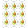 Colnect-191-031-Pineapple.jpg