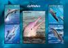 Colnect-5646-311-Dolphins.jpg