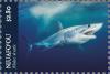 Colnect-6070-532-Mako-Shark.jpg