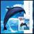 Colnect-5928-321-Dolphins.jpg