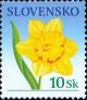 Colnect-5170-434-Narcissus.jpg