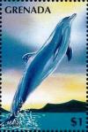 Colnect-4391-350-Dolphin.jpg