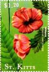 Colnect-3483-378-Hibiscus.jpg