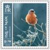 Colnect-6090-538-Chaffinch.jpg