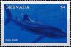Colnect-4581-373-Whale-shark.jpg