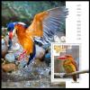 Colnect-5985-133-Kingfishers.jpg