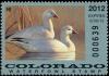 Colnect-6335-453-Ross-s-Geese.jpg