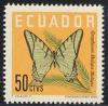 Skap-ecuador_01_bfly_680-83.jpg-crop-190x187at381-6.jpg