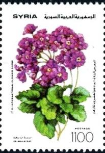 Colnect-2226-353-Primulaceae.jpg