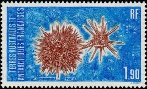 Colnect-886-063-Sea-Urchins.jpg