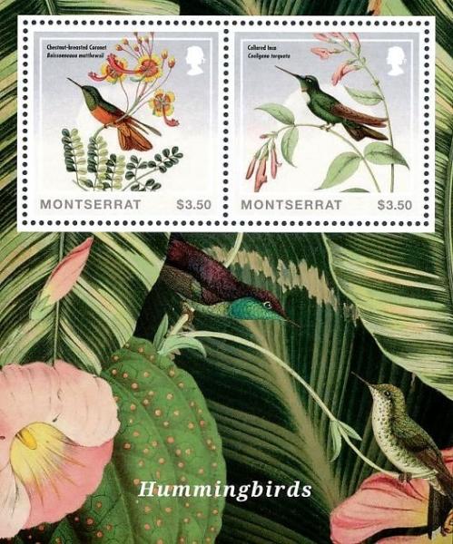 Colnect-4027-743-Hummingbirds.jpg