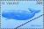 Colnect-5571-053-Sperm-whale.jpg