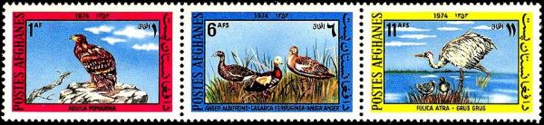Colnect-3792-293-Afghan-birds.jpg