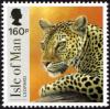 Colnect-5282-418-Leopard.jpg