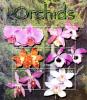 Colnect-3522-421-Orchids.jpg
