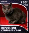 Colnect-4011-343-Chartreux.jpg
