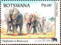 Colnect-5504-645-Elephants.jpg