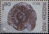 Colnect-568-461-Ammonit.jpg