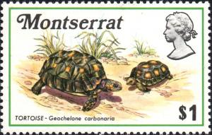 Colnect-6193-478-Tortoise.jpg