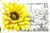 Colnect-1425-249-Sunflower.jpg
