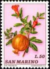 Colnect-1685-854-Pomegranate.jpg