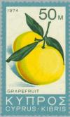 Colnect-172-954-Grapefruits.jpg