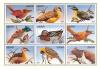 Colnect-3811-674-Birds-sheet.jpg